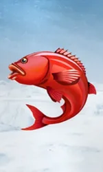 Ice Fishing