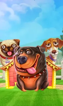 The Dog House
