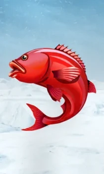 Ice Fishing